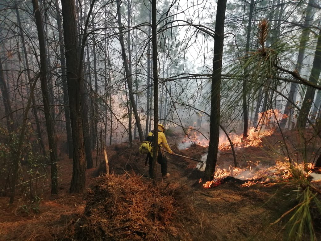 Puebla tiene 5 incendios forestales activos: Sergio Salomón