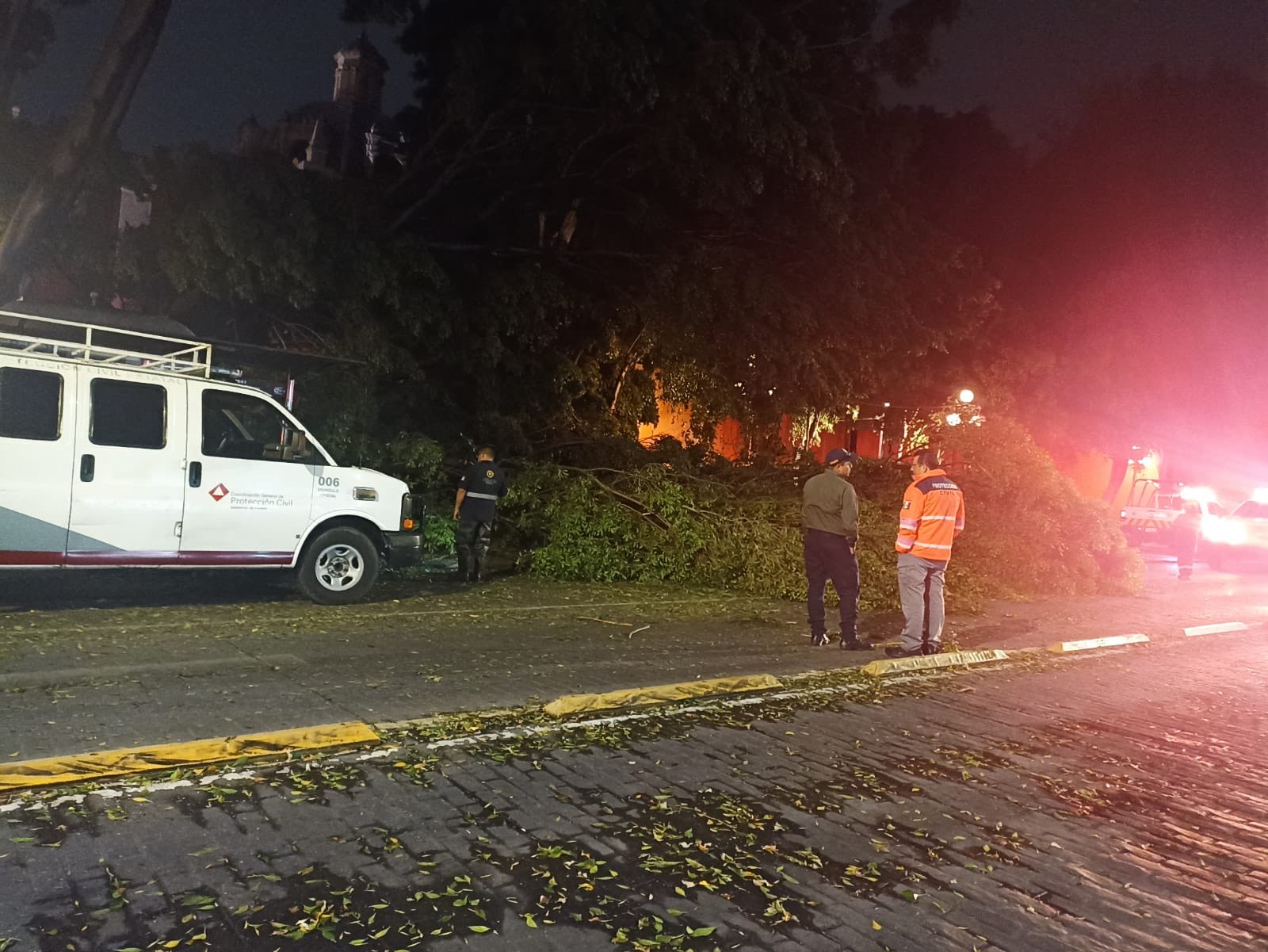 Lluvia del viernes provocó caída de ocho árboles en Puebla capital: Javier Aquino
