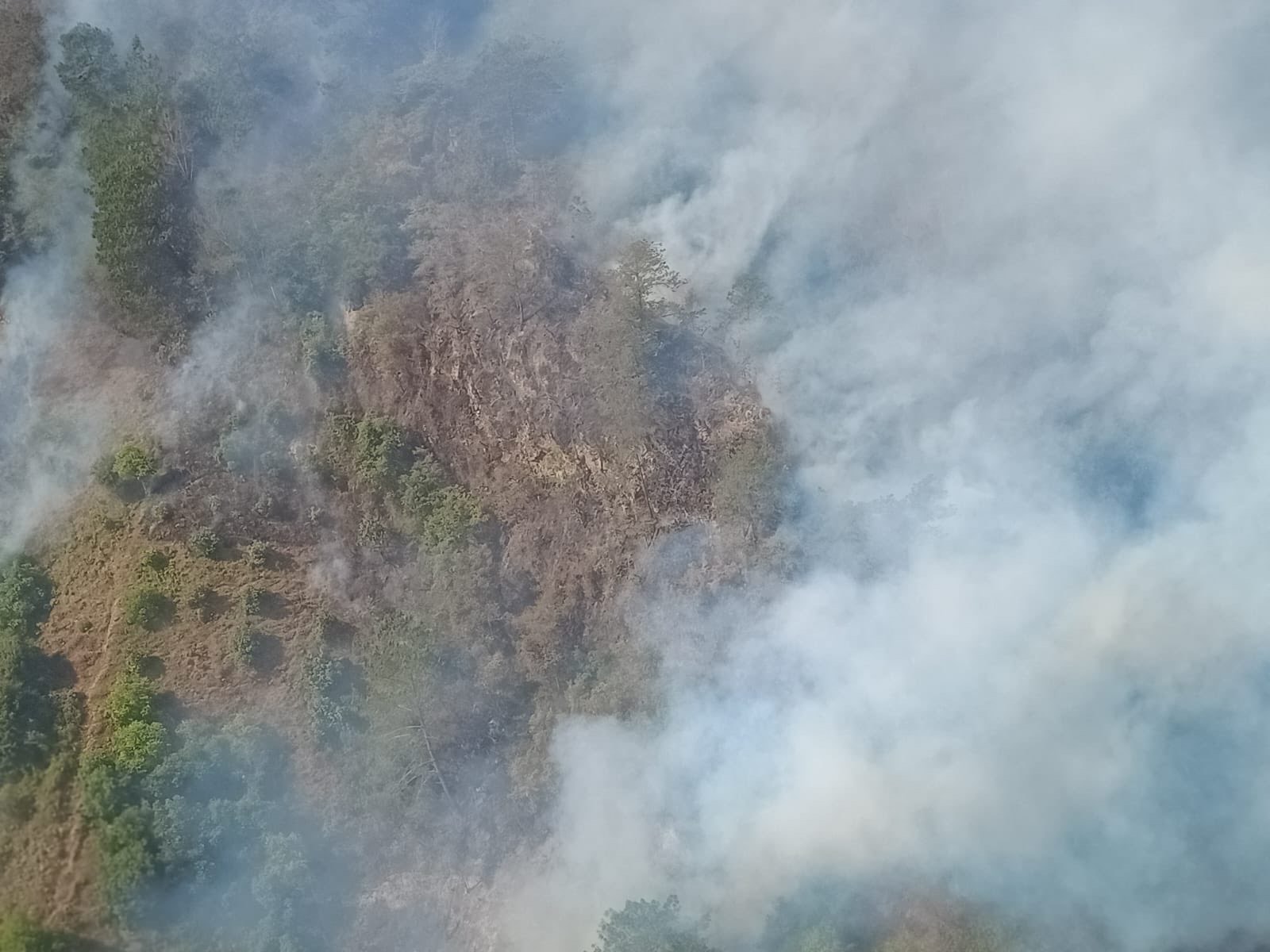 Controlado al 85% el incendio forestal en Quimixtlán: Sergio Salomón