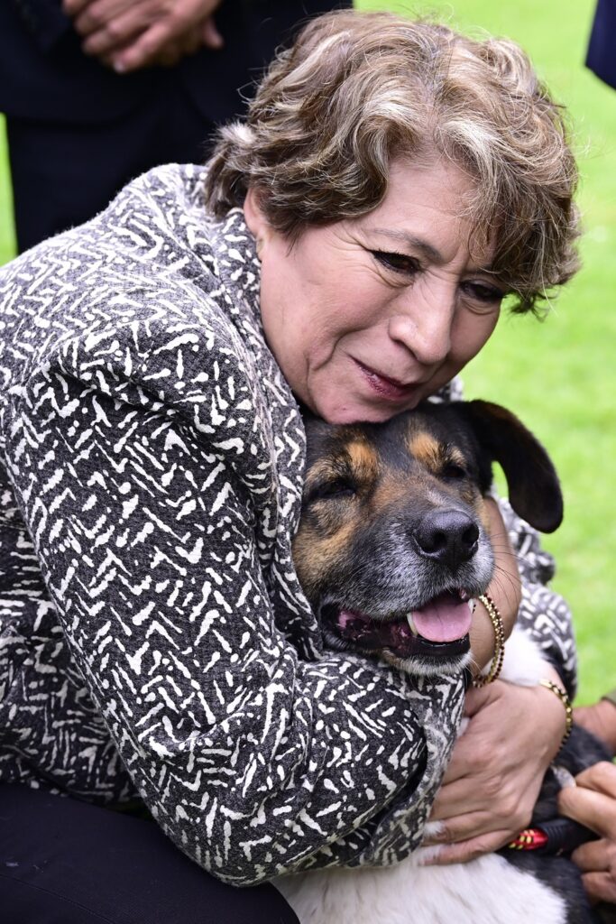 Gobernadora busca implementar policía y fiscalía para el bienestar animal en EdoMéx