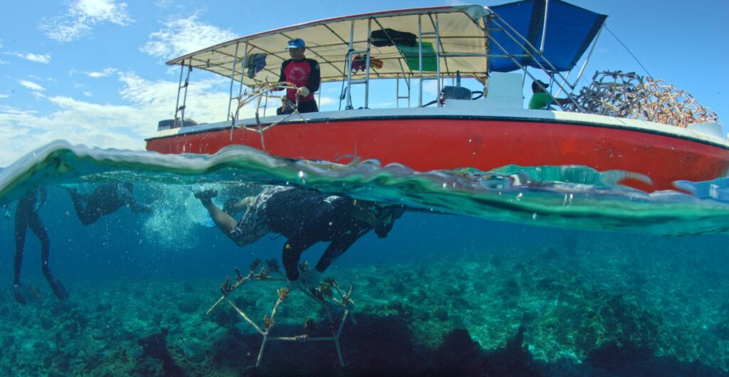 Un planeta sin océanos: dejar de ser “el planeta azul”