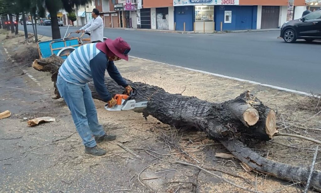 Ventisca de ayer provocó daños materiales