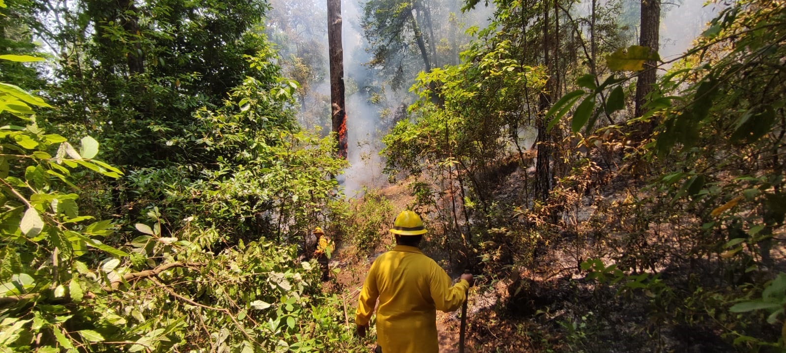 Para combatir incendios aplican Mando Unificado en Valle de Bravo