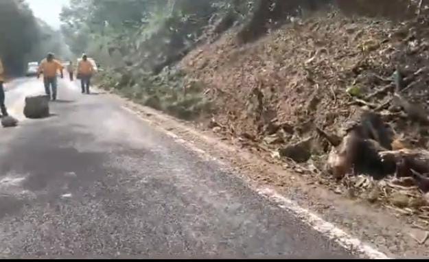 Video desde Puebla: Incendio forestal puede generar cierre de carretera México Tuxpan