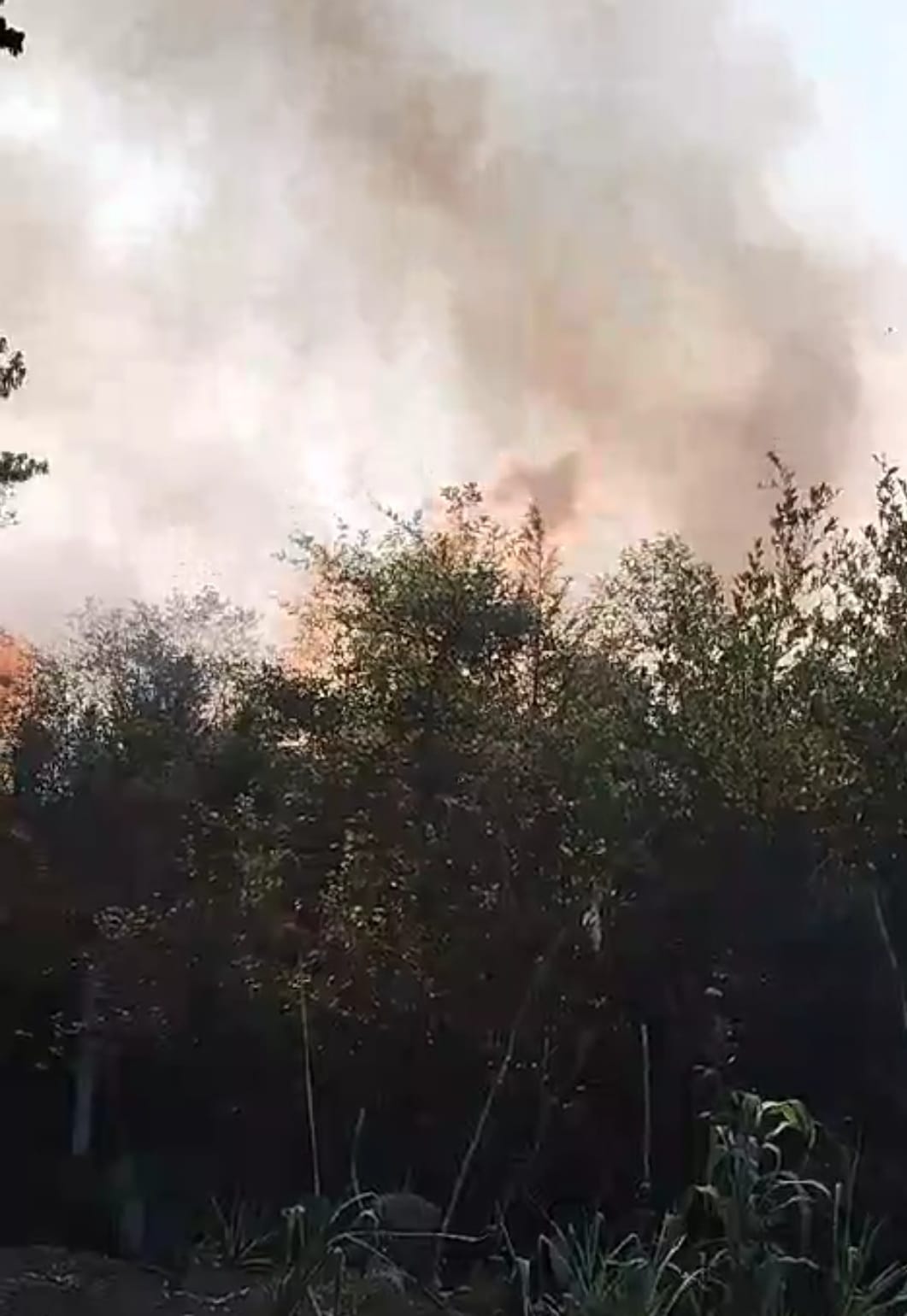 Video desde Puebla: Otro fuego forestal en Huauchinango; ahora en Venta Chica