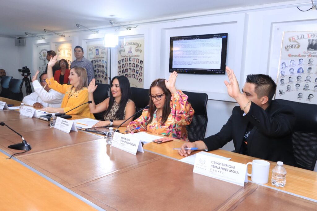 Aprueba Comisión del Congreso que Ayuntamientos destinen espacios para “nenis”