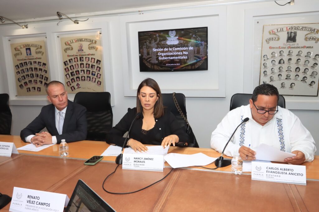 Impulsa Congreso Fiscalía en Investigación de Delitos contra Menores