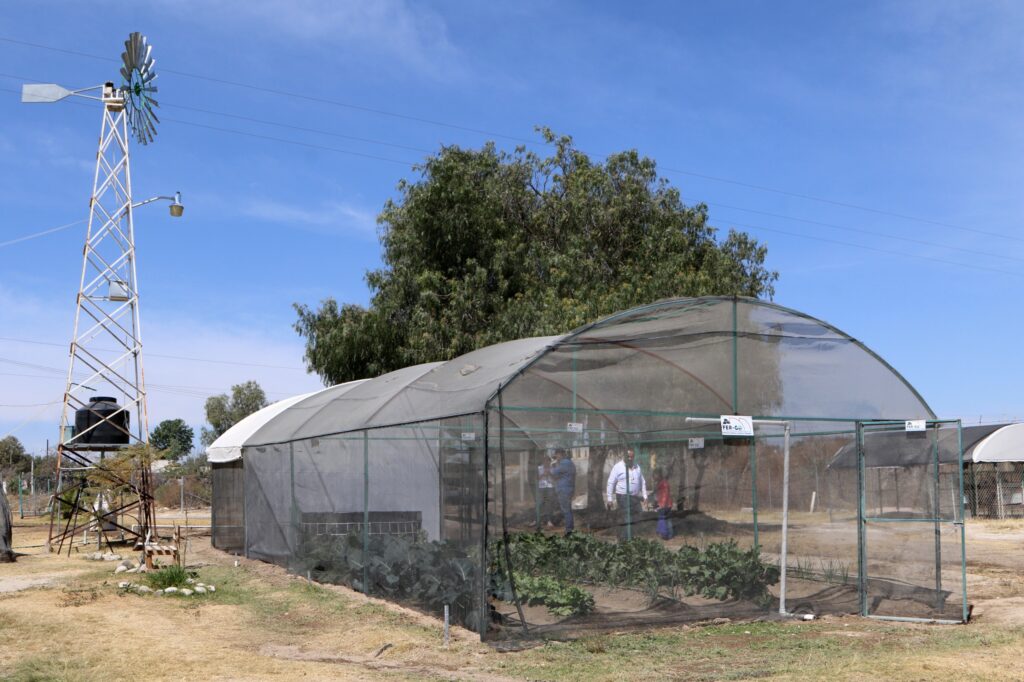 Fortalecen familias poblanas alimentación con módulos de Autosuficiencia