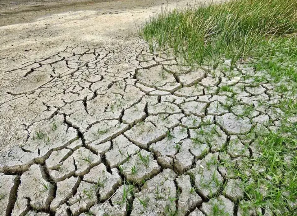Se eleva sequía a 89.5% del país y hay ALERTA por falta de lluvias