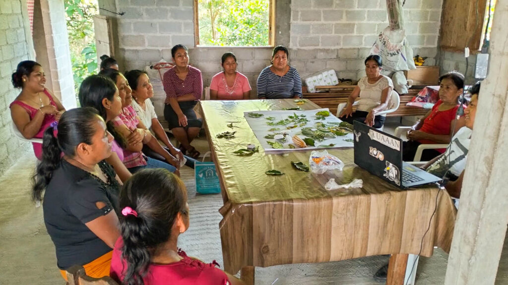 Coadyuva Pueblos Indígenas en capacitación en empleo a municipios de la Sierra Negra