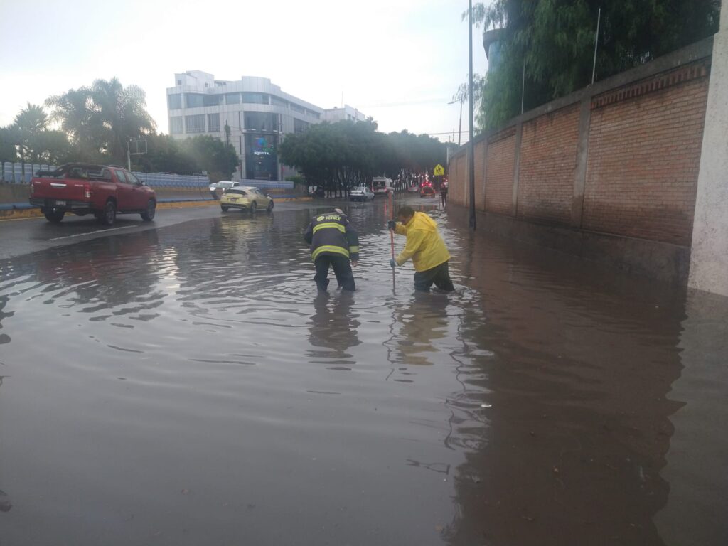 Caída de árbol y encharcamientos, saldo de la lluvia de esta tarde