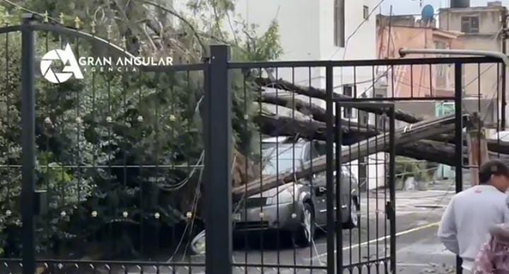 Video desde Puebla: Árbol aplasta vehículo tras fuerte lluvia