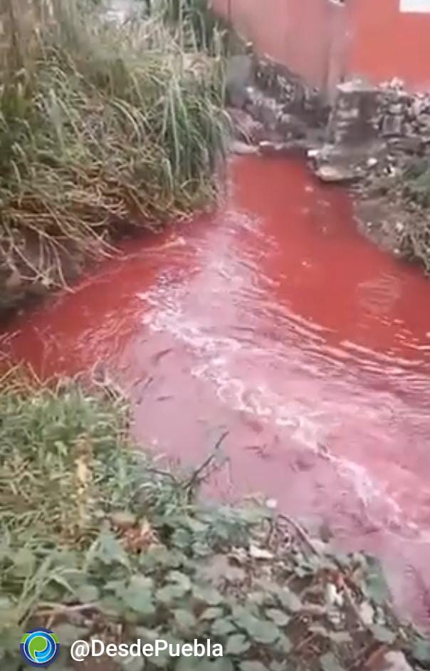 Video desde Puebla: Contaminan río de Huauchinango y lo pintan de rojo sangriento