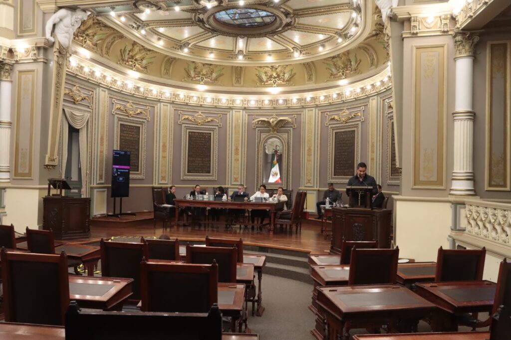 Impulsan propuesta legislativa para prohibir intervenciones estéticas en animales