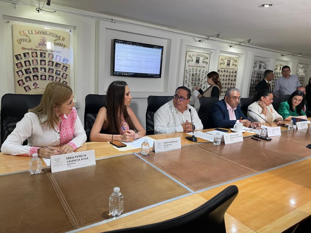 Aprueban en Comisión reformas para garantizar cuidados paliativos a personas adultas mayores