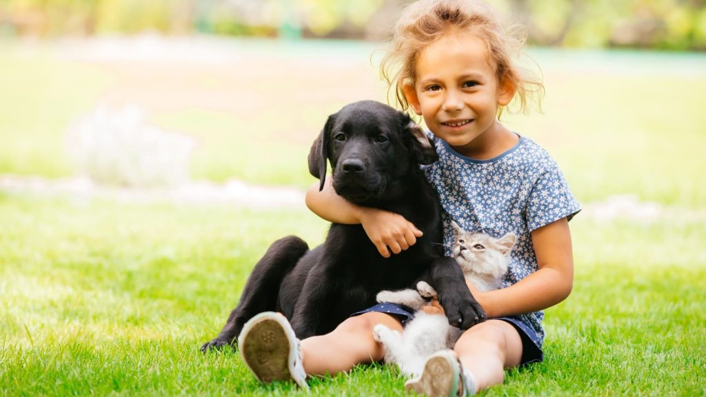 Guía para una buena convivencia entre mascotas y niños