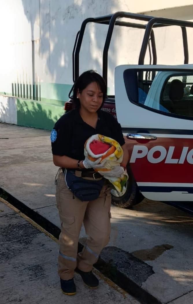 Localizan con vida a recién nacida abandonada en barranca de Huehuetla