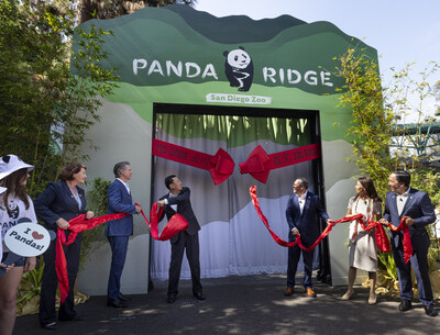 Los pandas gigantes hacen su debut público durante un día histórico en el zoológico de San Diego