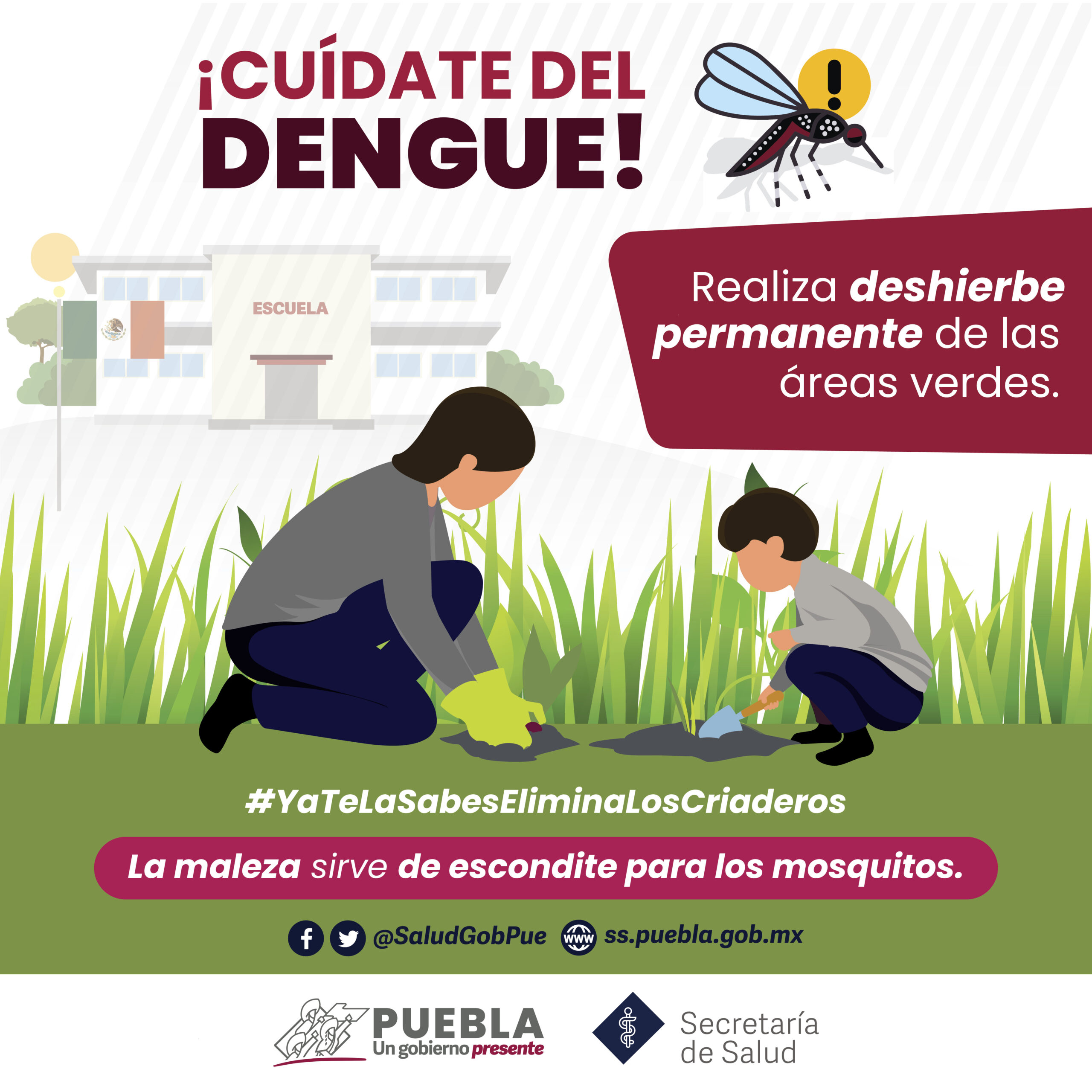 En 2024, acumula Puebla mil 063 contagios por dengue: Salud