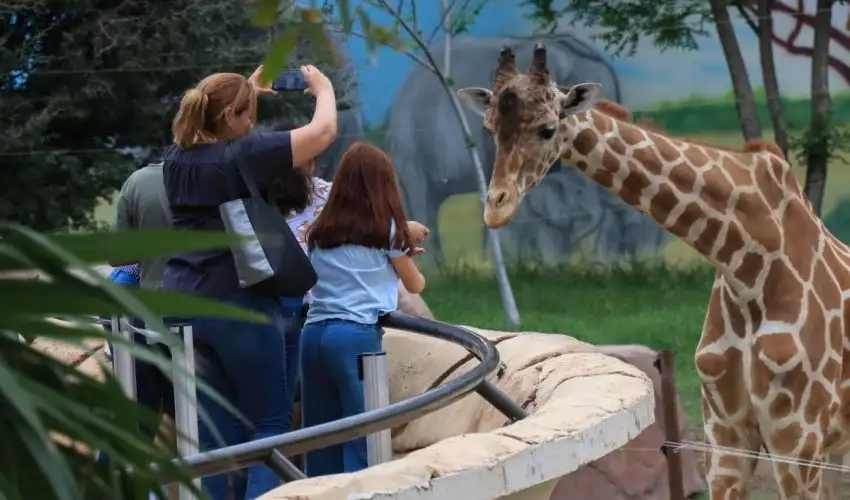 Tamaulipas: indagan tráfico de especies exóticas en zoológico de Tamatán