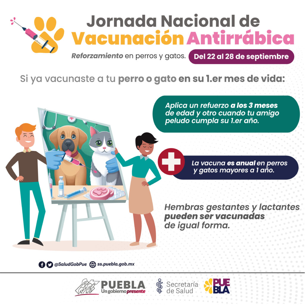 Anuncia Salud reforzamiento de vacunación antirrábica para perros y gatos
