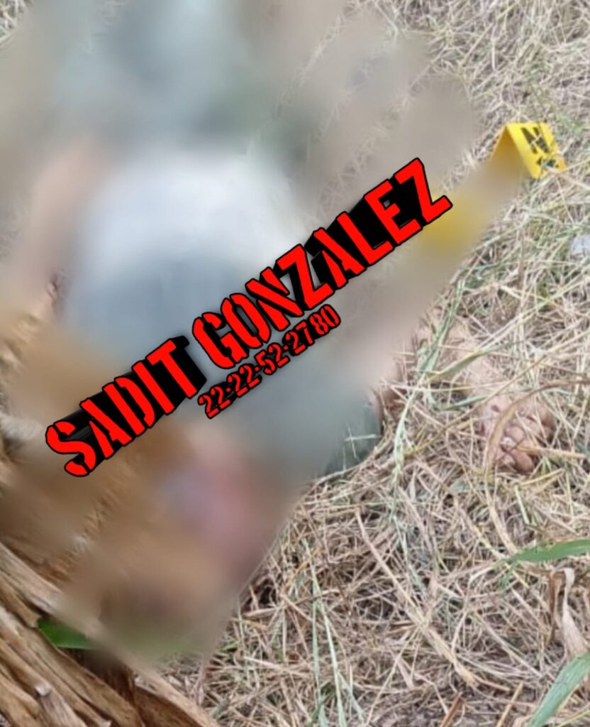 Asesinan a menor de edad en un rancho de Pantepec