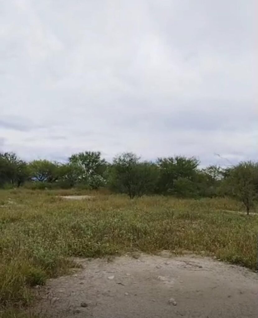 Hallan cadáver de joven maniatado y con tiro de gracia en San Gabriel Chilac