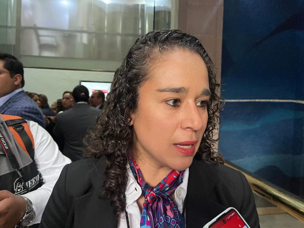 IEEM se declara listo para organizar elección de magistrados y jueces locales: Pulido