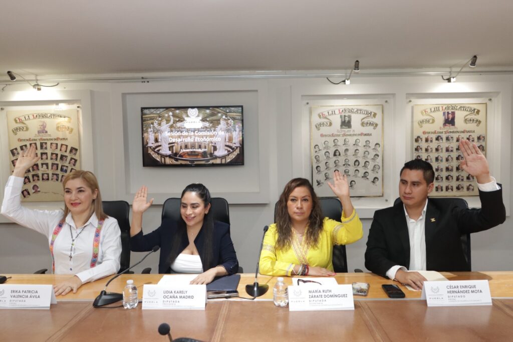 Aprueban en Comisión del Congreso propuesta para garantizar criterios de inclusión y no discriminación en primer empleo