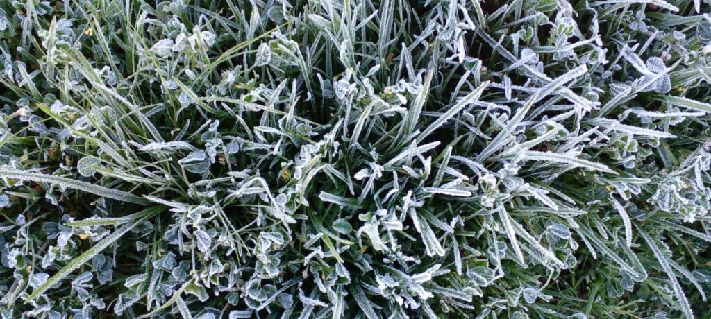 Habrá hoy varios municipios con bajas temperaturas y escarcha