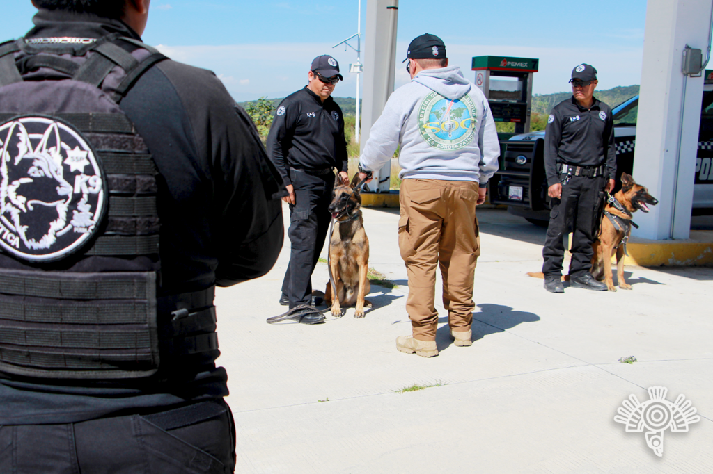 Fortalecen Puebla y Tlaxcala operatividad de unidades caninas: SSP