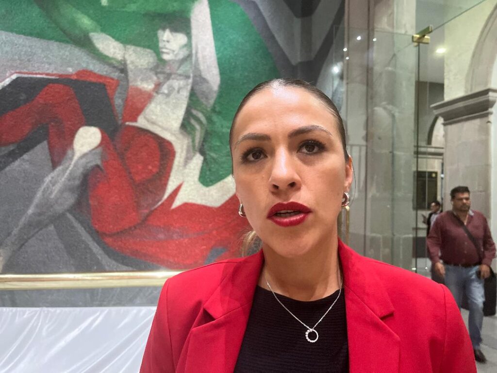 No solo es despenalizar el aborto, sino trabajar en el tema preventivo: Chávez