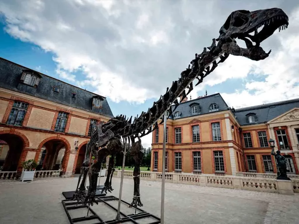 Esqueleto gigante de dinosaurio es subastado en 6 millones de euros en Francia
