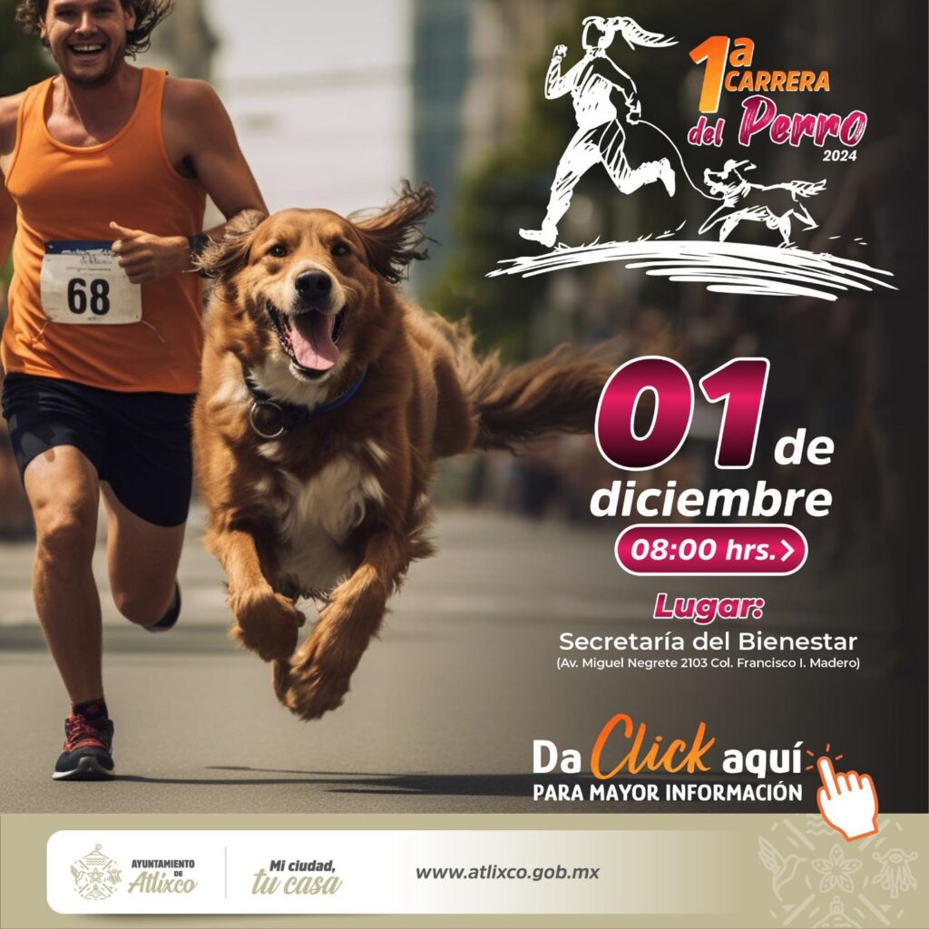 ¡Guau! Disfruta de un domingo con tu lomito; inscríbelo a la carrera del perro en Atlixco