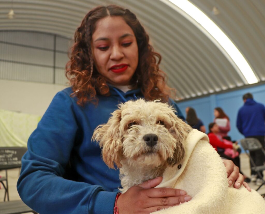 Vacunan mascotas en Cuautlancingo