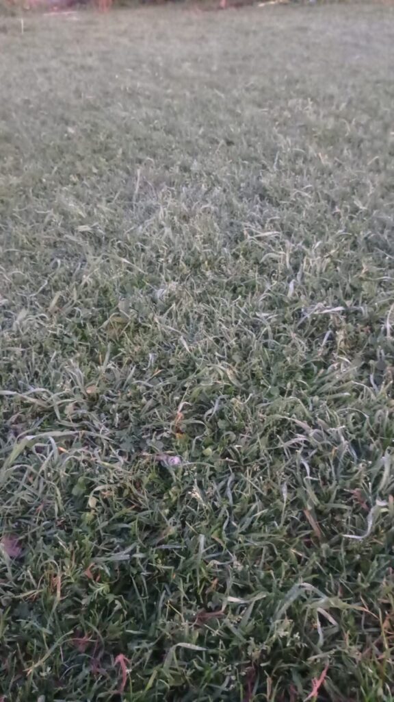 Se registra en Puebla el frente frío número 10