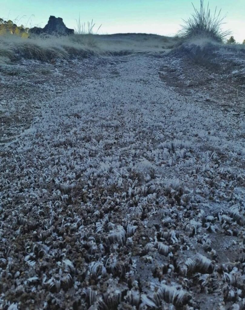 Por frente frío, Puebla registra temperaturas de hasta menos 1 grado