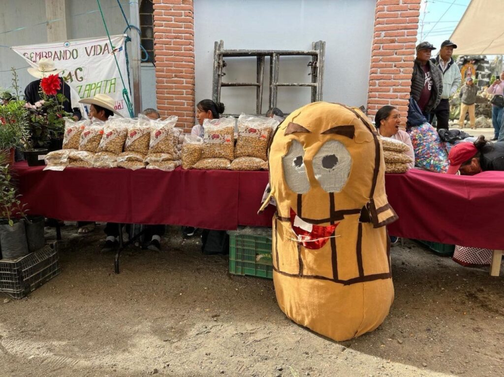 Atlixco, listo para la segunda Feria del Aguacate