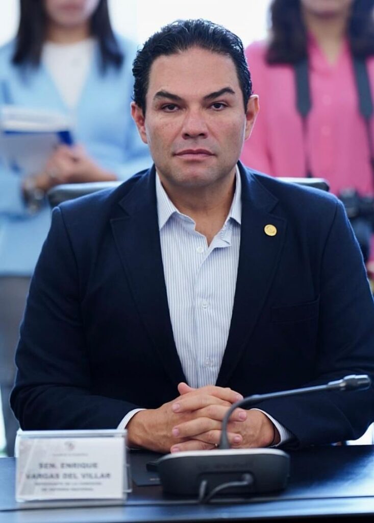 Reformas de Seguridad deben incluir combate a estructura financiera de la delincuencia: Vargas