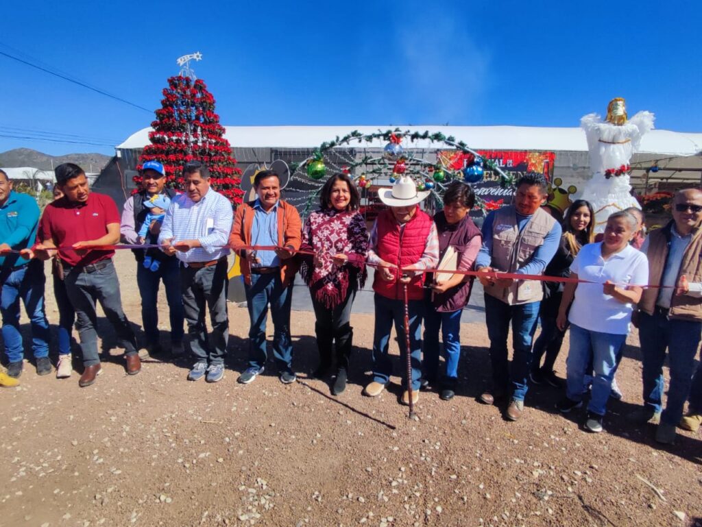 Impulsan en el Congreso temporada de flor de Nochebuena, en el municipio de Atlixco