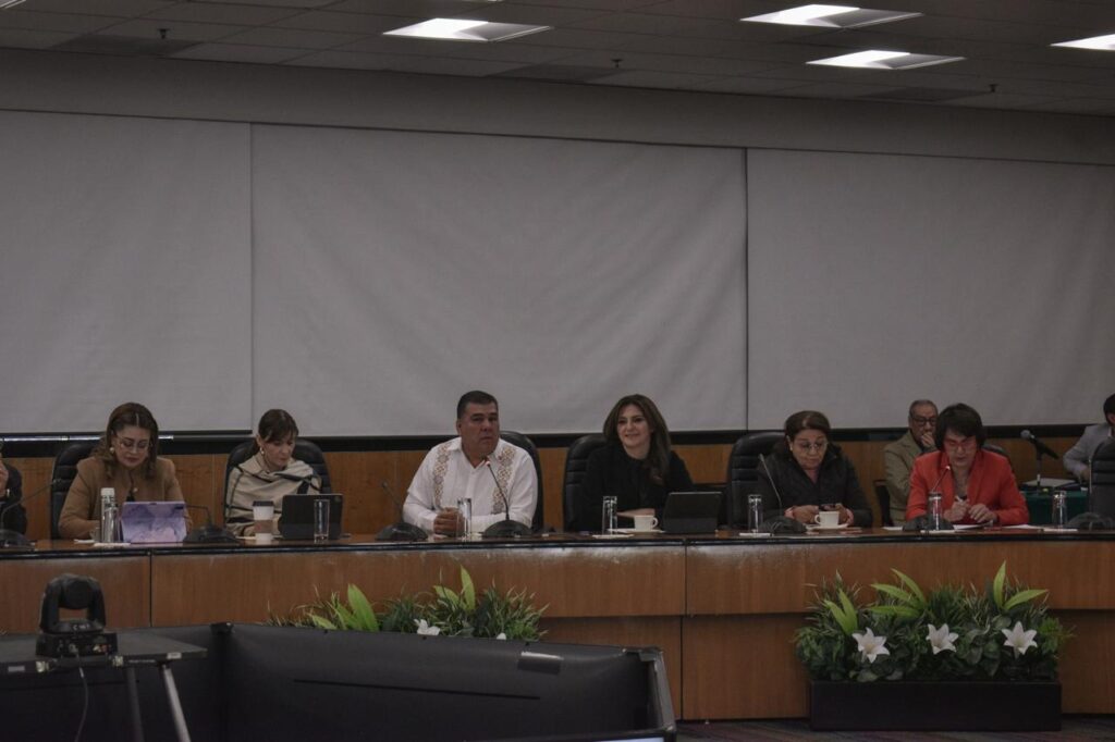 La Cuarta Transformación cumple con programas sociales que ya son un derecho constitucional: Maiella Gómez