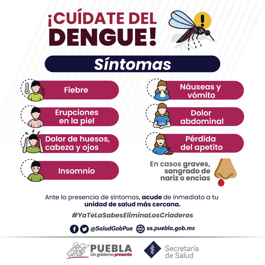 Registra Puebla 38 nuevos casos de dengue en 24 horas: Salud