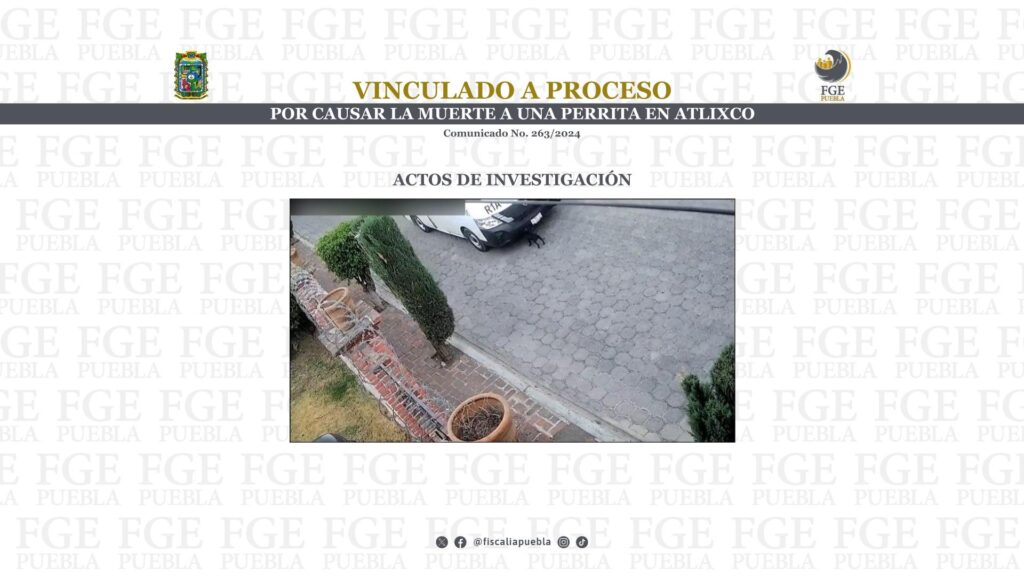 Vinculado a proceso por causar la muerte a una perrita en Atlixco