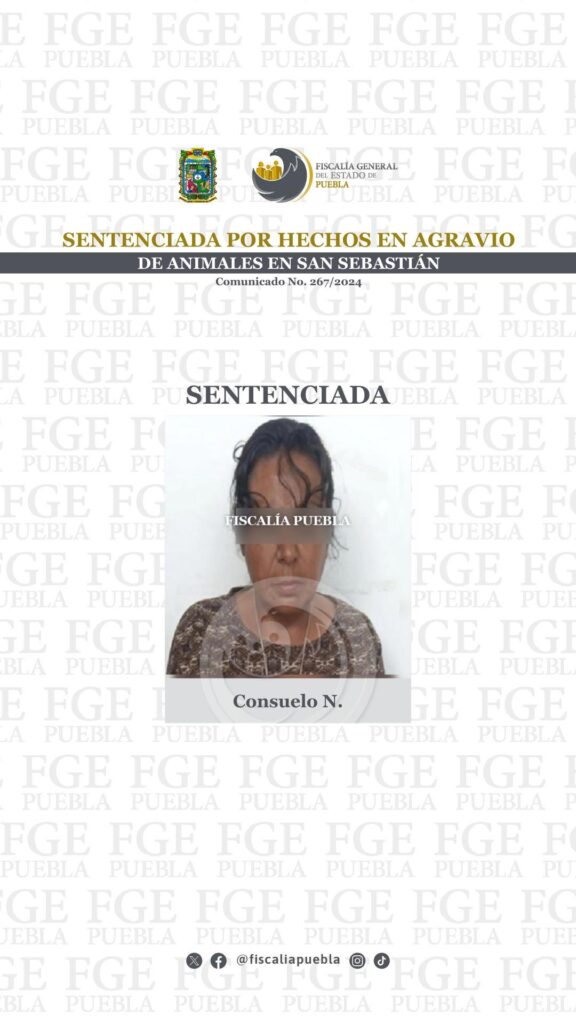 ¡Consuelo tenía en su casa 45 animales enfermos y desnutridos!