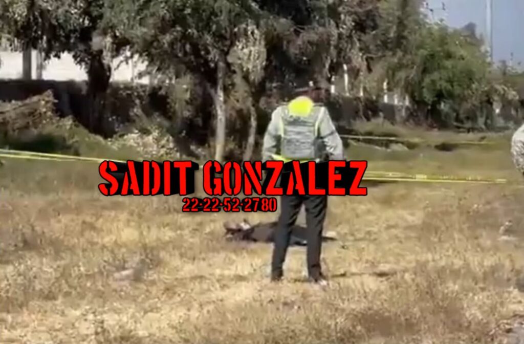 Cadáver de un hombre al costado de la autopista México-Puebla