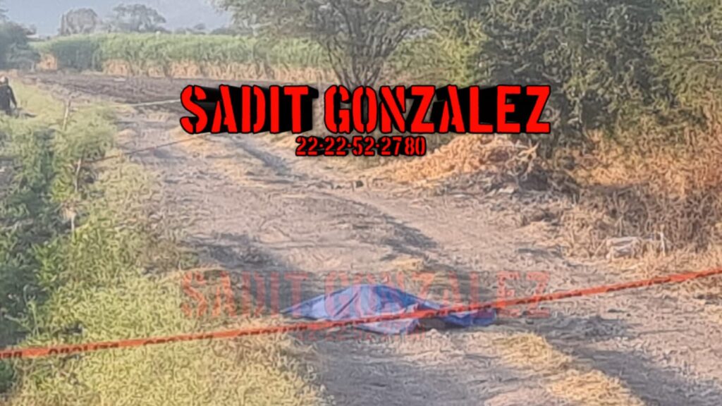 Joven asesinado y con tiro de gracia en Izúcar de Matamoros