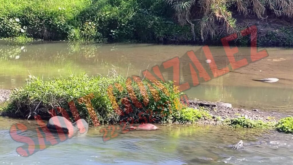Encuentran el resto del cadáver dejado con narcomensaje en Chiautla de Tapia