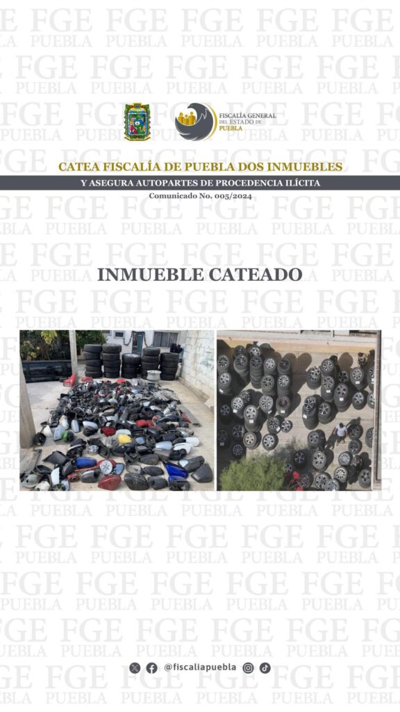 Recuperan vehículo, casi 300 llantas y autopartes en cateo de Barranca Honda