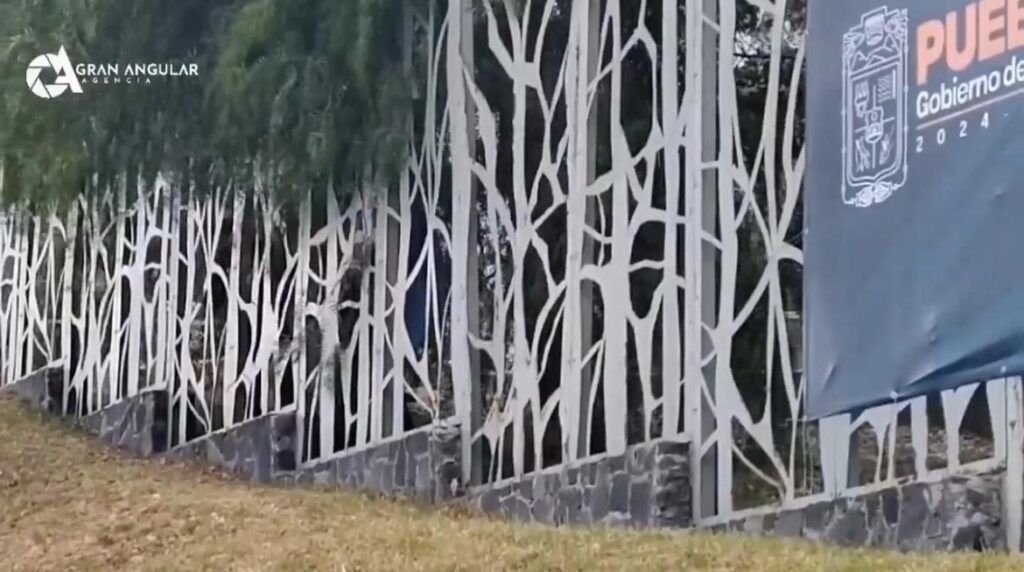 Video: Encuentran cadáver en la zona de Los Fuertes