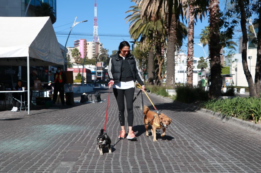 Regresa este domingo la Vía Recreativa